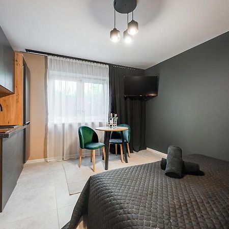 ריבניק Loft House Apartment Studio Z Ogrodkiem 1 מראה חיצוני תמונה
