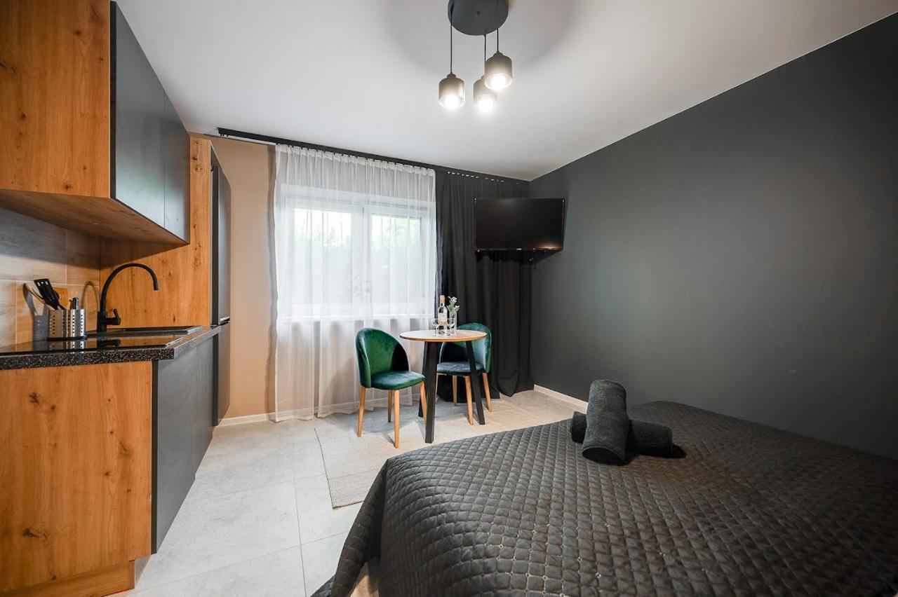 ריבניק Loft House Apartment Studio Z Ogrodkiem 1 מראה חיצוני תמונה